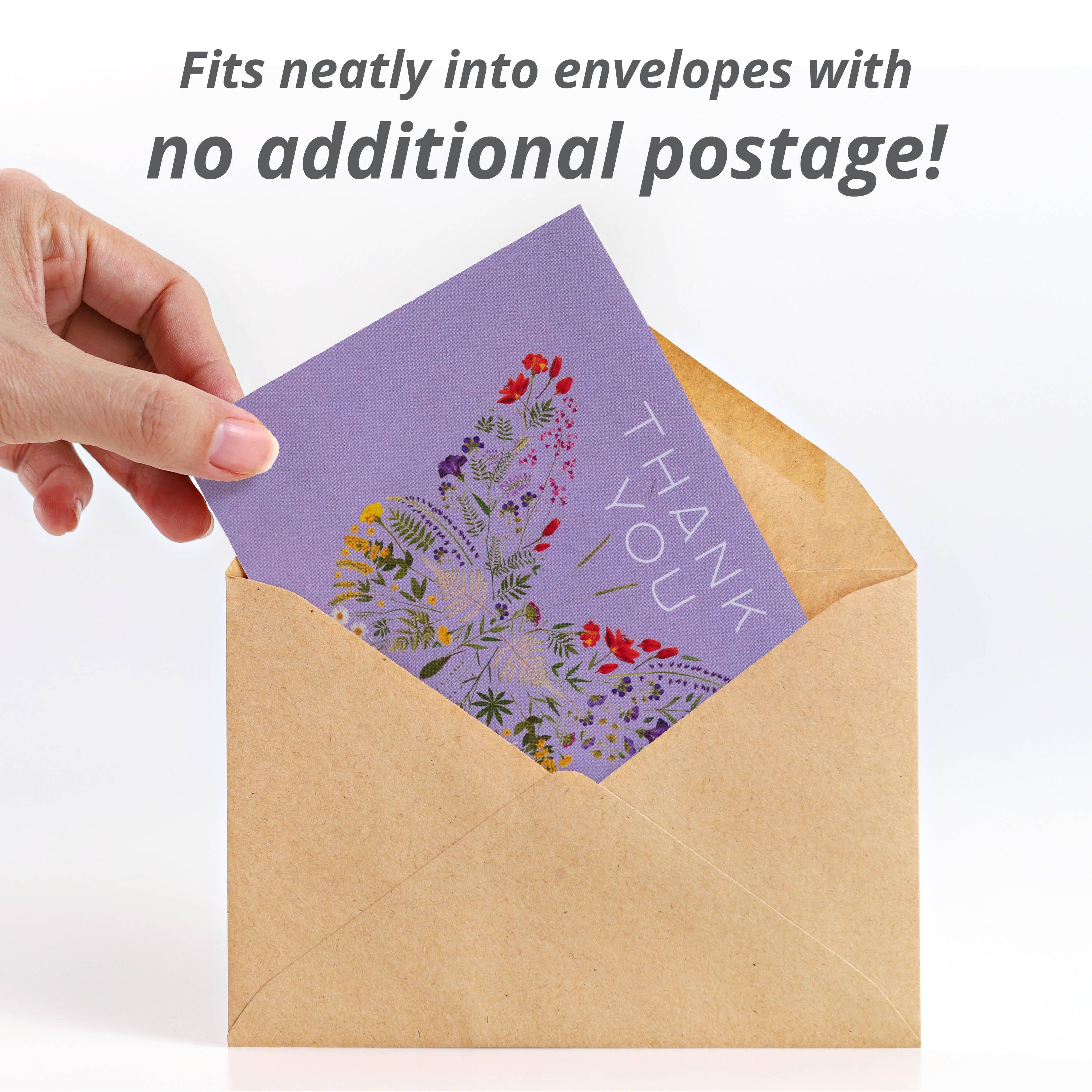 Thank You Butterfly Pollinator - Pollinator Flower Mix Seed Packets