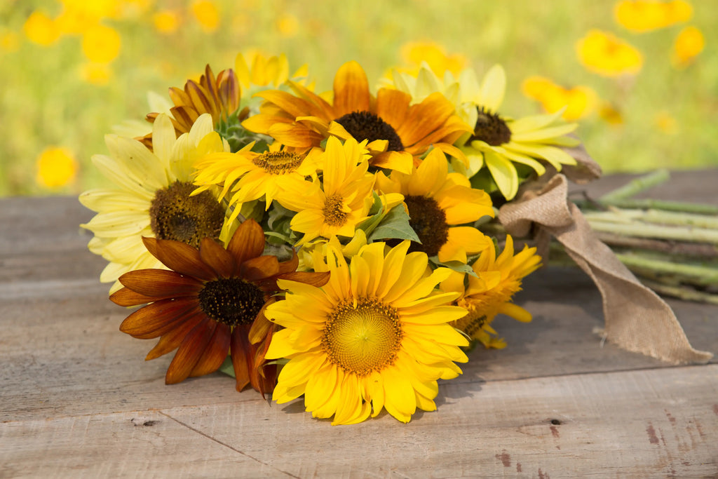 Sunflowers For Mom - All Sorts Sunflower Seed Packets