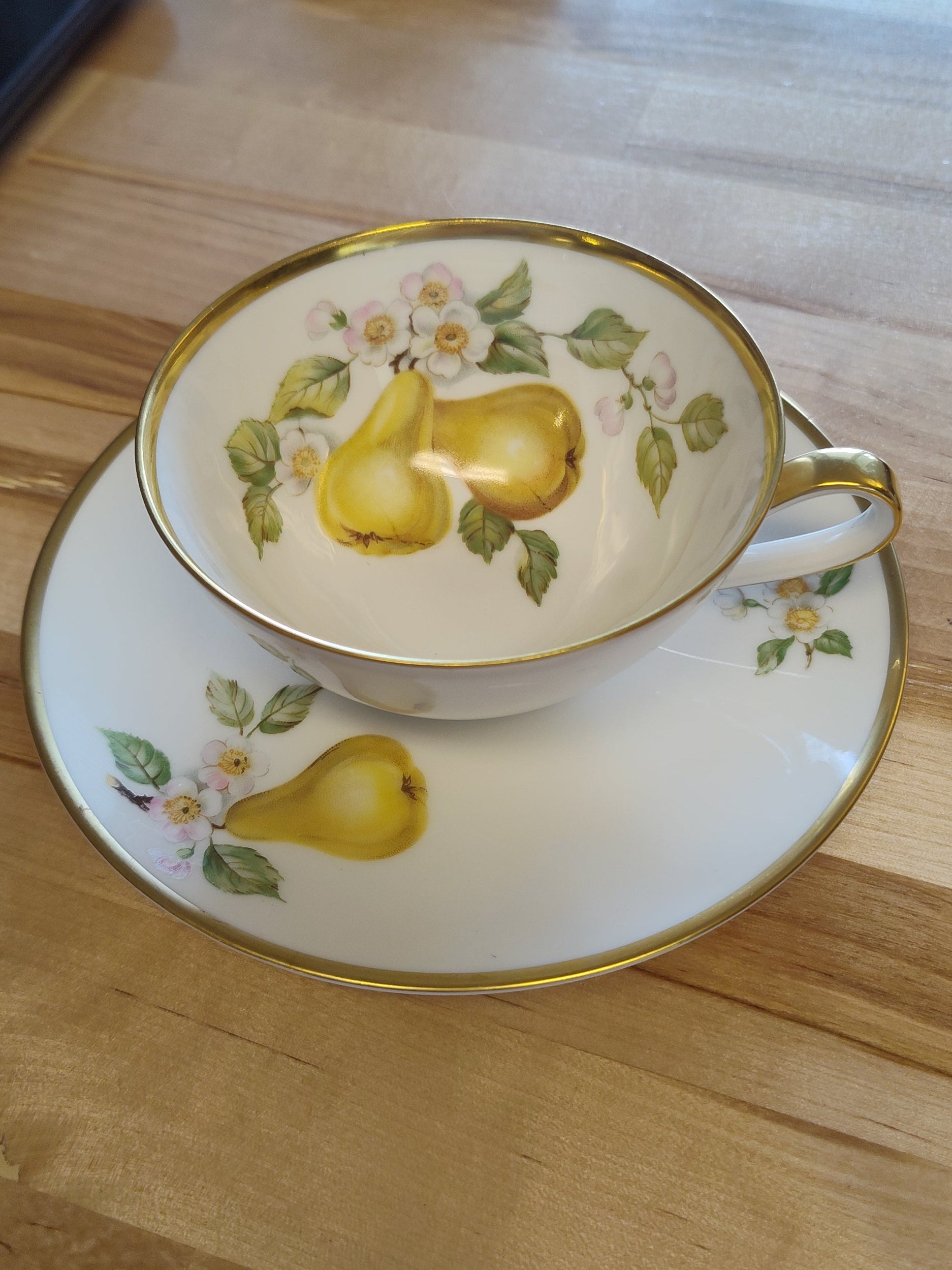 Hutschenreuther Selb Porcelain Pears Teacup and Saucer